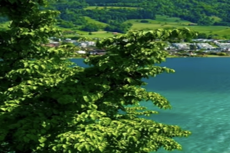 2026年2月24日男孩五行缺什么 2026年2月24日男孩五行缺什么