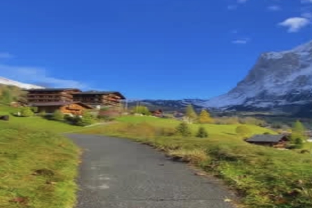 2026��3��4���к�����ȱʲô