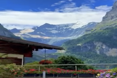 2026��3��8���к�����ȱʲô