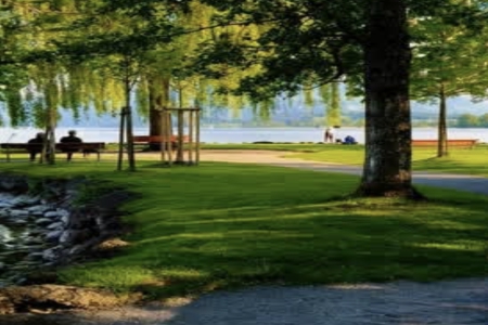 2026��3��21���к�����ȱʲô