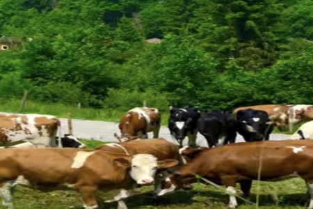 2026年3月23日男孩五行缺什么 2026年3月23日男孩五行缺什么