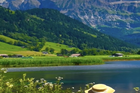 2026��3��31���к�����ȱʲô