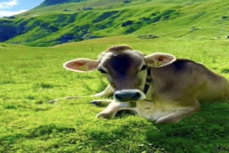 2026��5��10���к�����ȱʲô